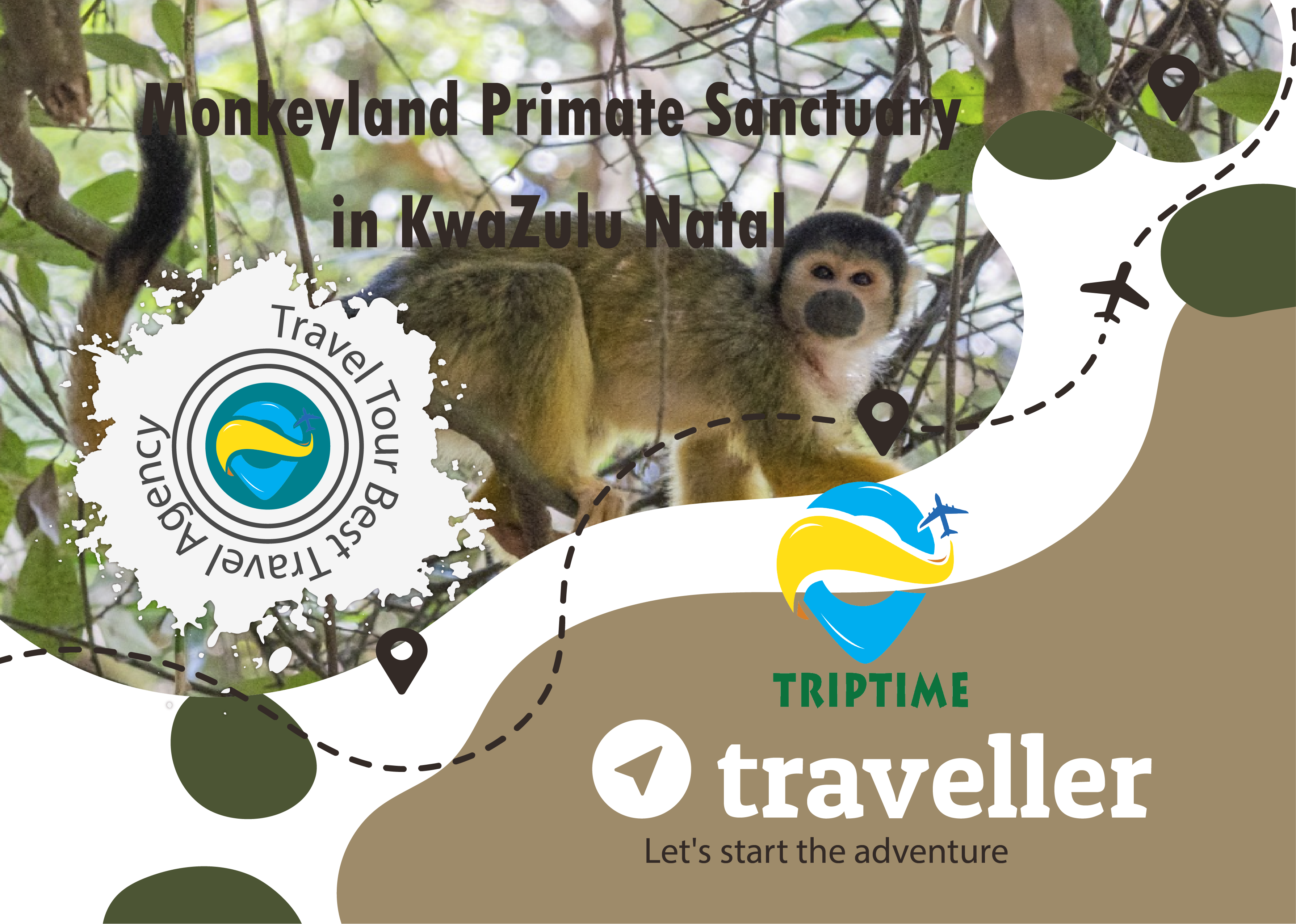 Monkey-Land